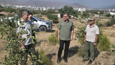 Mersin Orman Bölge Müdür Yardımcısı