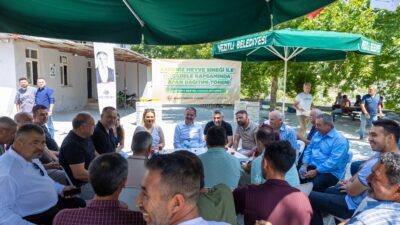 Mezitli’de Akdeniz meyve sineğiyle mücadele