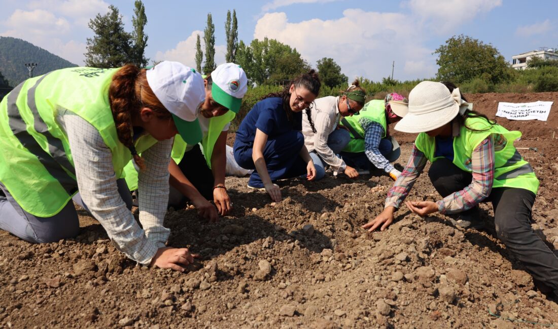 Toroslar Belediyesi, tarımsal üretimde