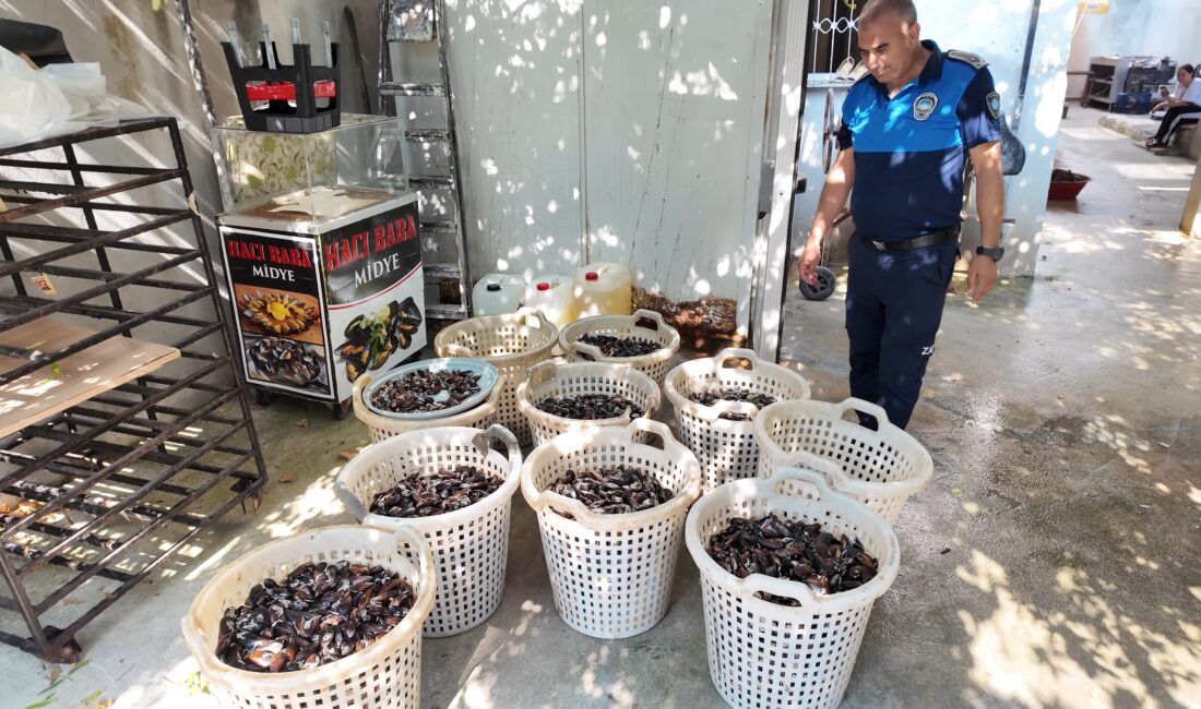 Akdeniz’de 200 Kilo Bozulmuş Midye Dolması Ele Geçirildi Mersin’in Akdeniz ilçesinde halk sağlığını