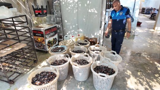 Akdeniz’de 200 Kilo Bozulmuş Midye Dolması Ele Geçirildi Mersin’in Akdeniz ilçesinde halk sağlığını