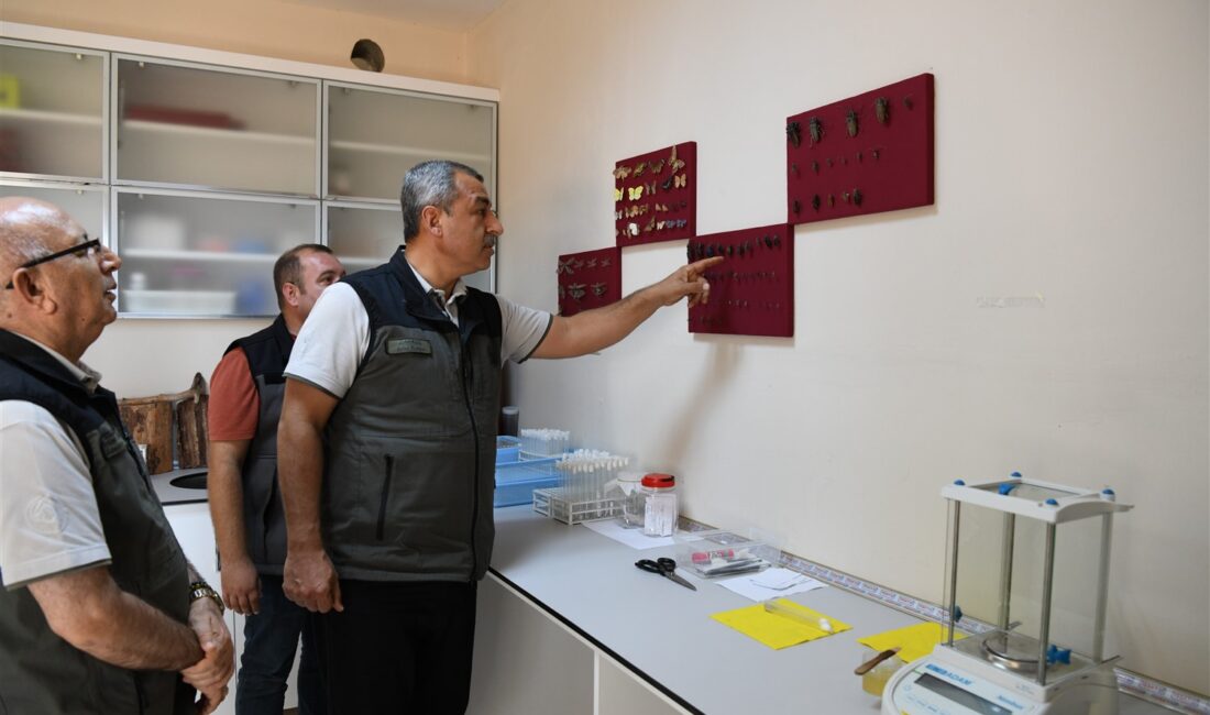 Mersin Orman Bölge Müdürümüz