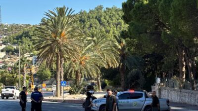Mersin Orman Bölge Müdürlüğüne bağlı