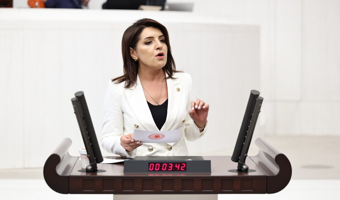 “MERSİNLİ GİŞELER KALKSIN DİYE BEKLERKEN, İKTİDAR ÖZELLEŞTİRME KARARI ÇIKARDI” CHP Mersin Milletvekili Gülcan