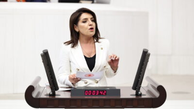 CHP Mersin Milletvekili Gülcan Kış,