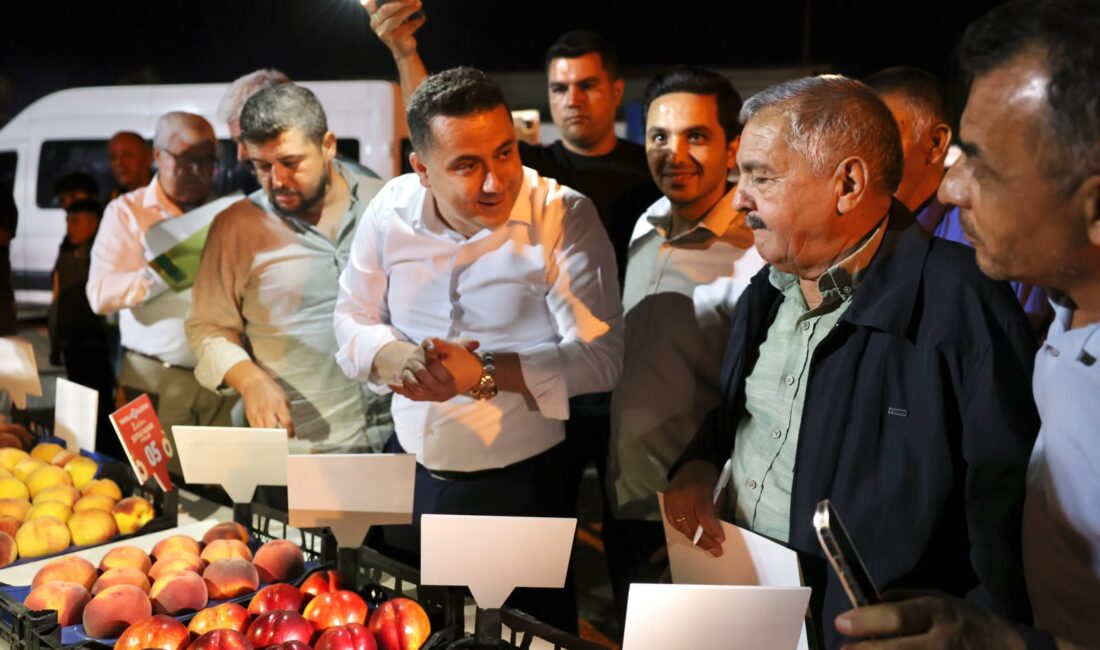 TOROSLAR’DA 2. ŞEFTALİ HASADI ETKİNLİĞİ COŞKUYLA GERÇEKLEŞTİ TOROSLAR’DA 2. ŞEFTALİ HASADI ETKİNLİĞİ COŞKUYLA GERÇEKLEŞTİ