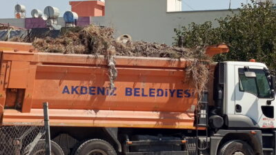 Akdeniz Belediyesi, ilçe sakini vatandaşların