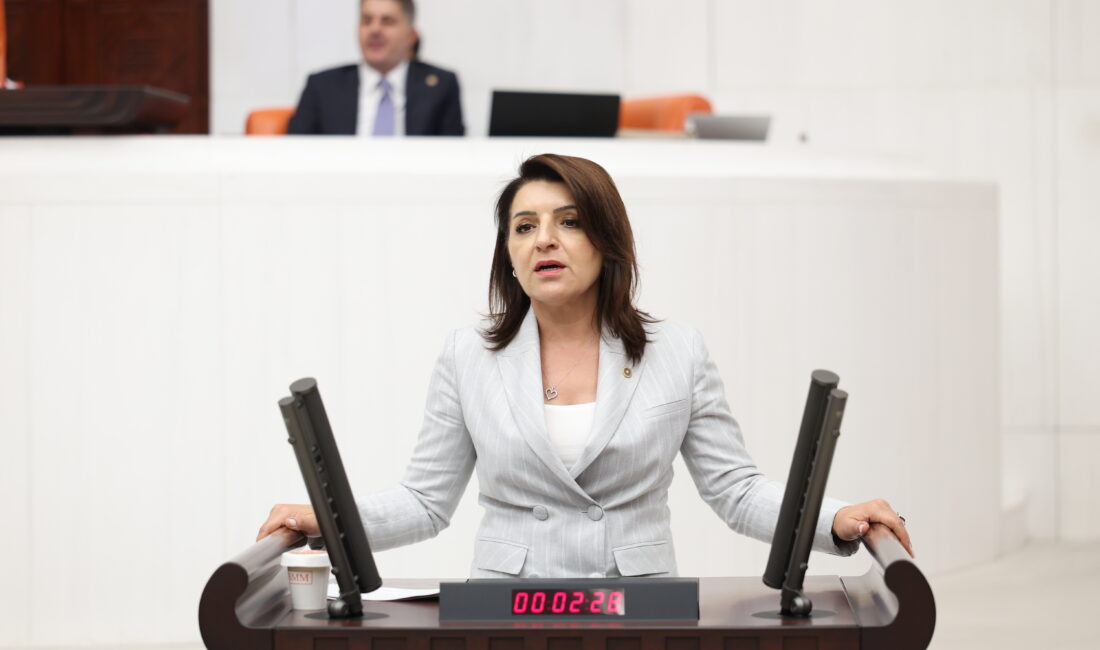 CHP Mersin Milletvekili Gülcan