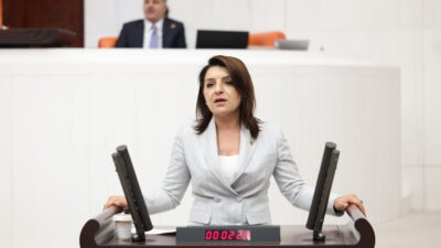 CHP Mersin Milletvekili Gülcan Kış,